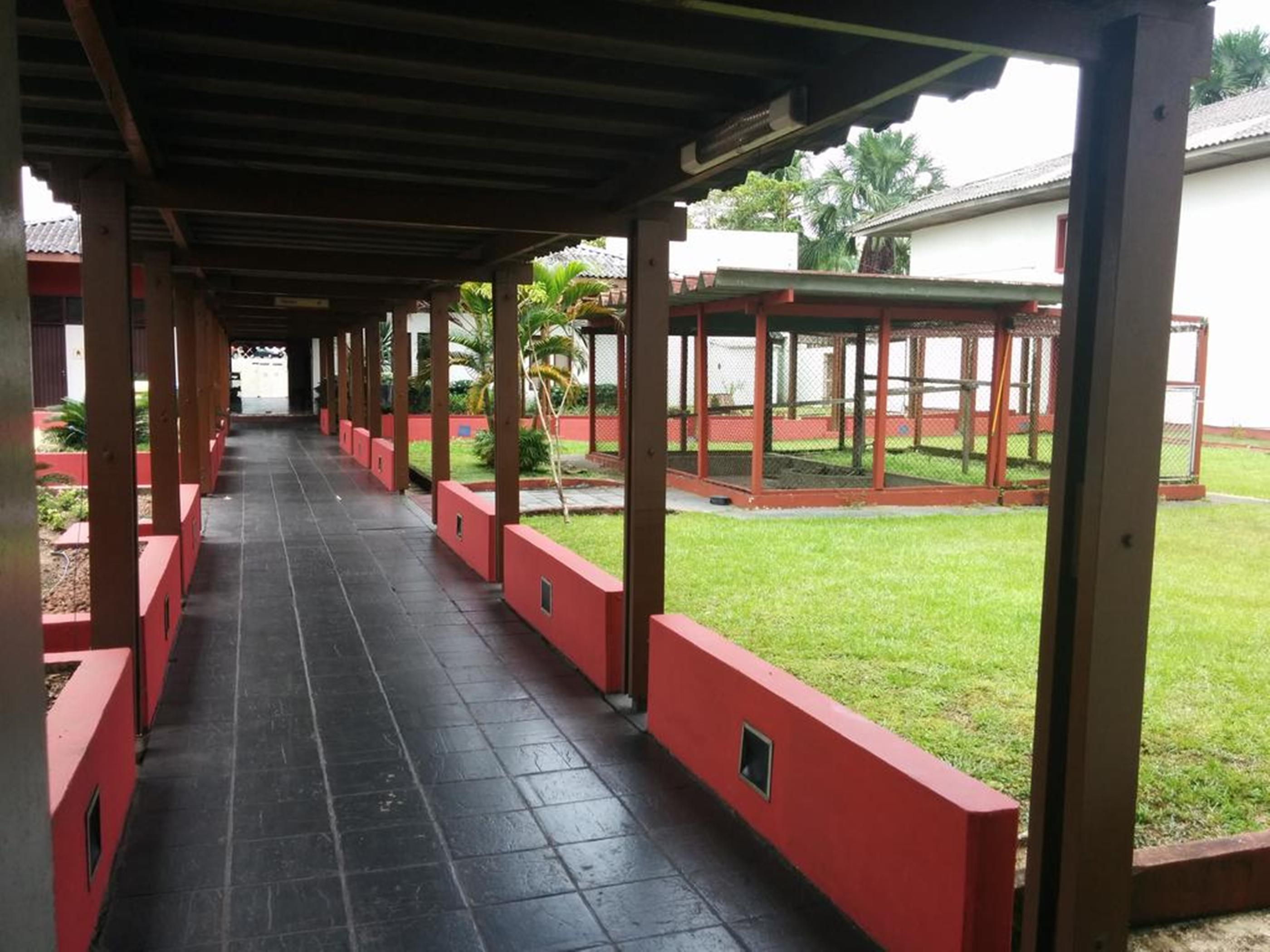 Hotel Vila Rica Belem エクステリア 写真